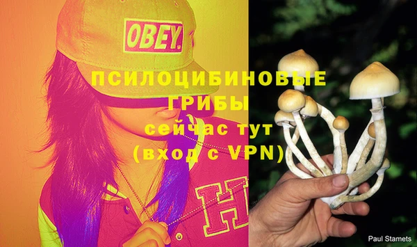 мескалин Баксан